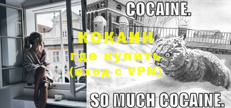 COCAIN 97% Пудож